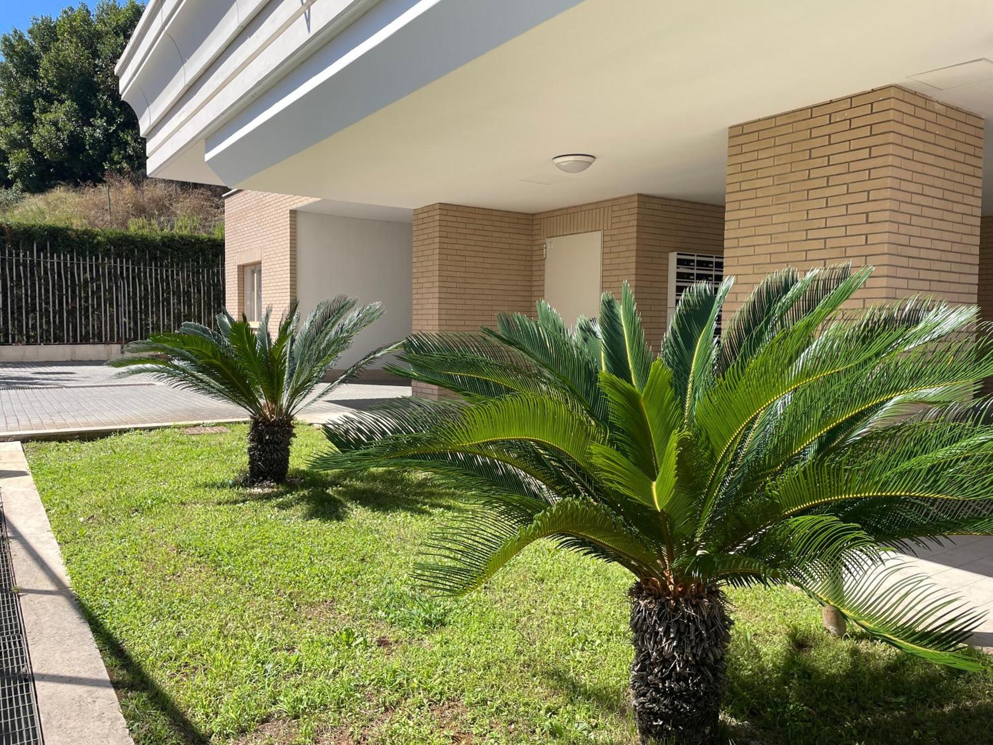 Ferienwohnung Jubilee Panoramic View In Rome Near Vatican Exterior foto